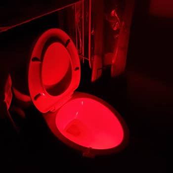 Another reviewer's toilet lit up red