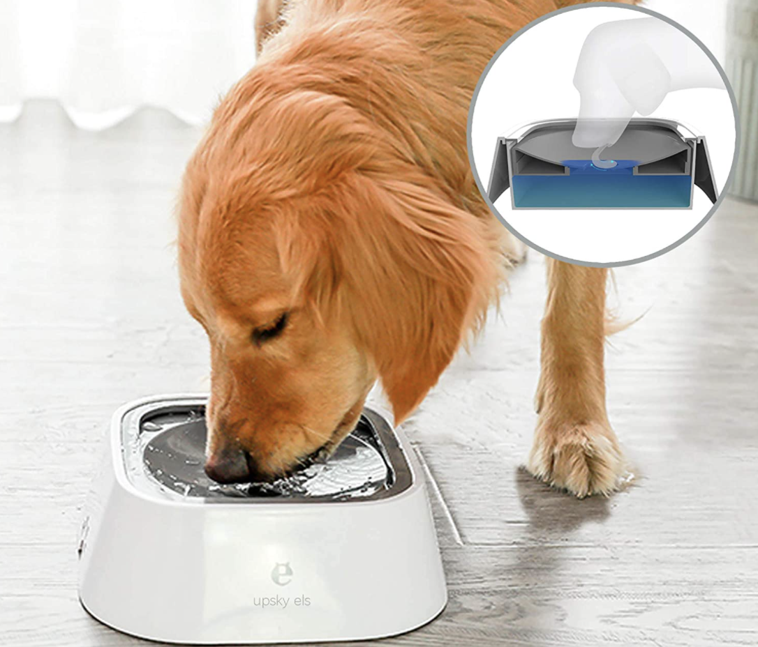 A dog drinking out of the no-spill bowl