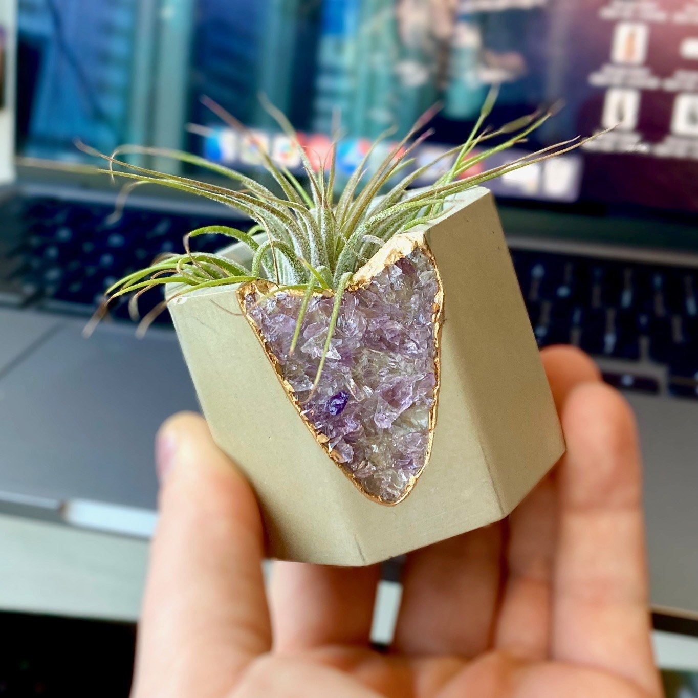BuzzFeed writer&#x27;s image of amethyst geode vessel with air plant