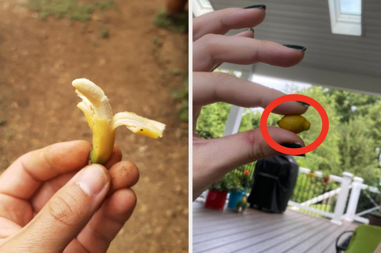 banana and lemon