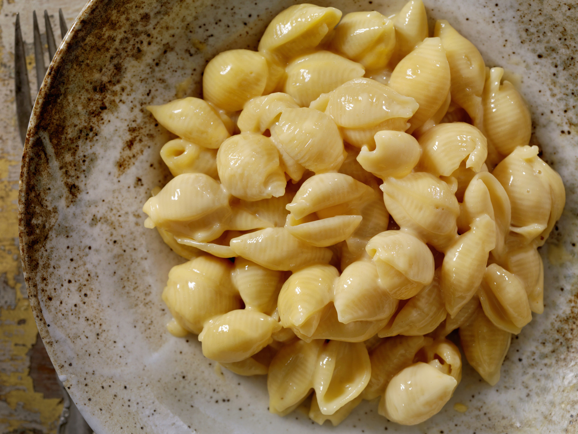 Creamy homemade mac &#x27;n&#x27; cheese shells.