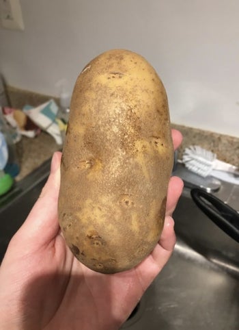 a dirty potato before being scrubbed
