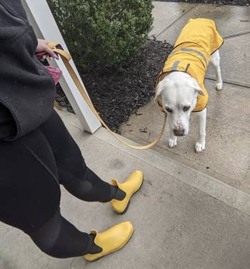 Reviewer is wearing yellow boots next to a dog with a yellow raincoat on