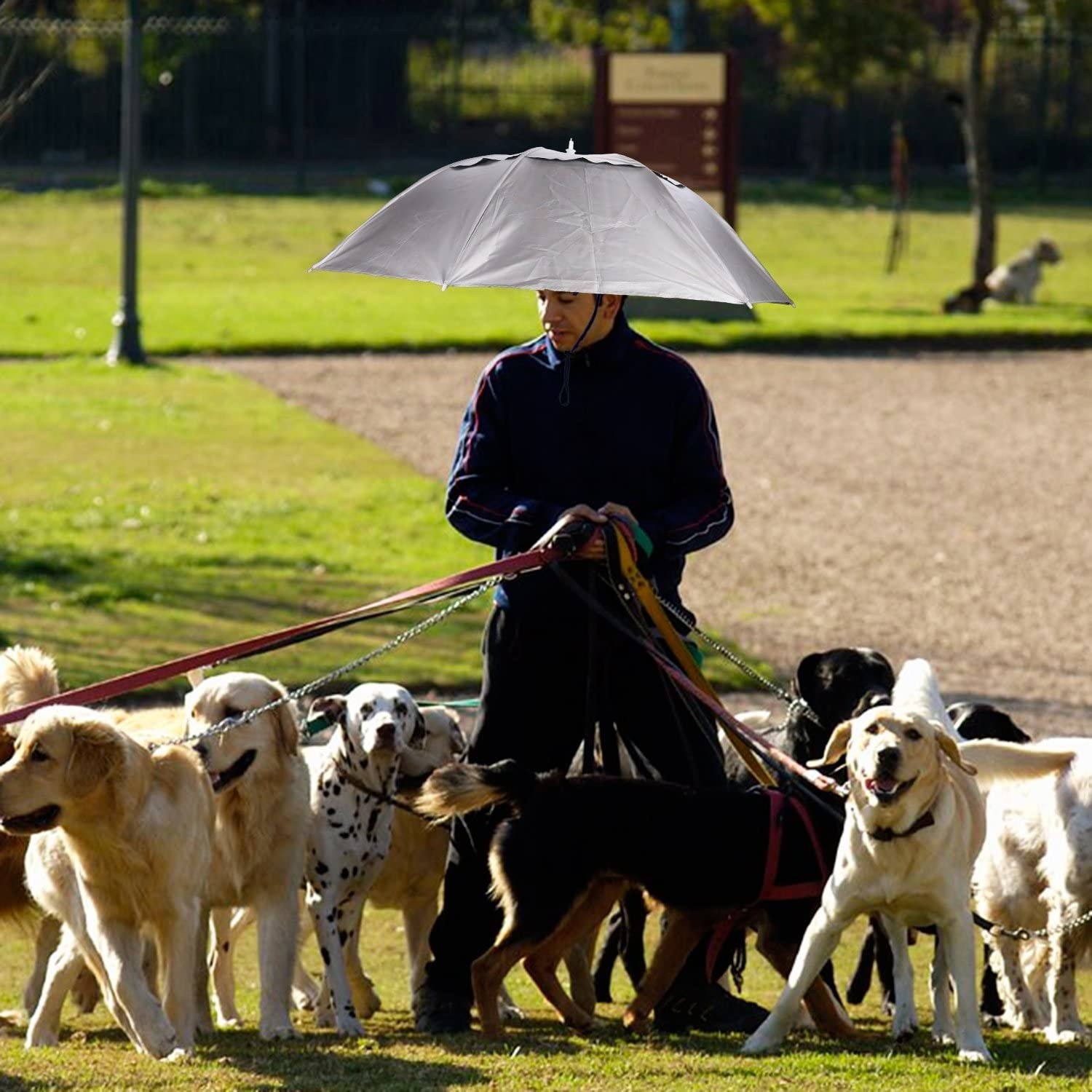 A person wearing the umbrella hat while walking a herd of dogs