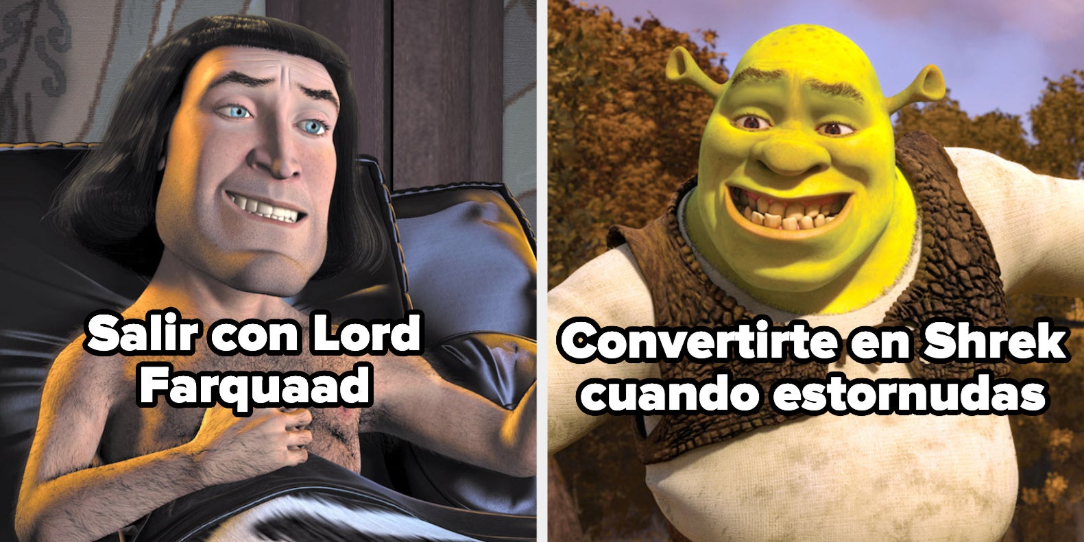 Veamos Donde Estas Parad En Este Que Prefieres De Situaciones De Shrek