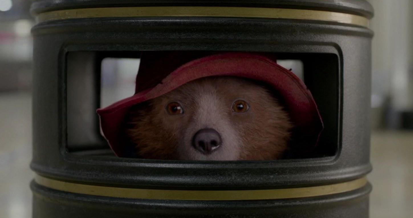 Paddington peeks out from inside a trash can