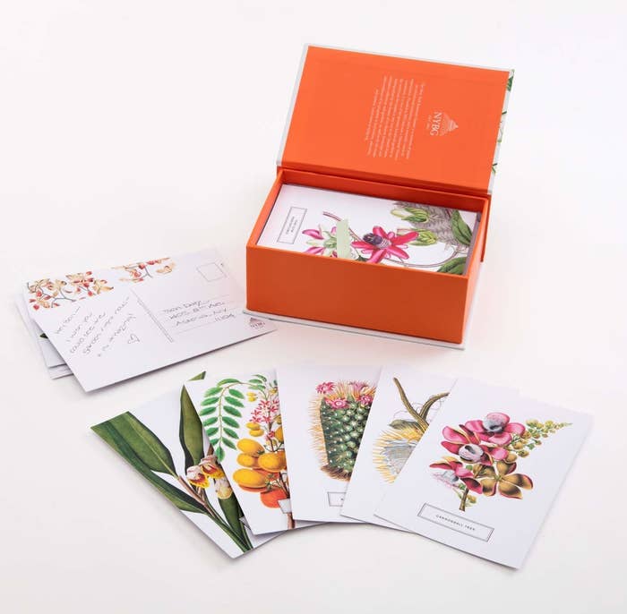 The set of botanical postcards next to their box 