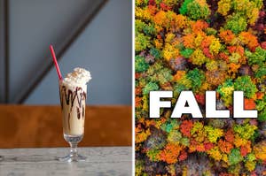 a chocolate milkshake beside an arial view of a forest in the fall