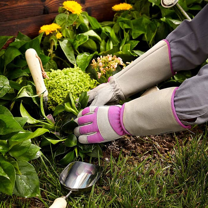 person wearing the gloves working on their garden