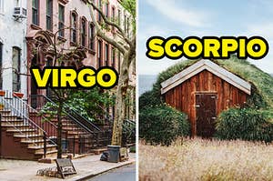 virgo and scorpio