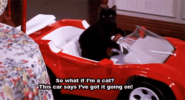 A gif from Sabrina the teenage witch where salem sits in a tiny red car and says &quot;so what if I&#x27;m a cat? This car says I&#x27;ve got it going on&quot;