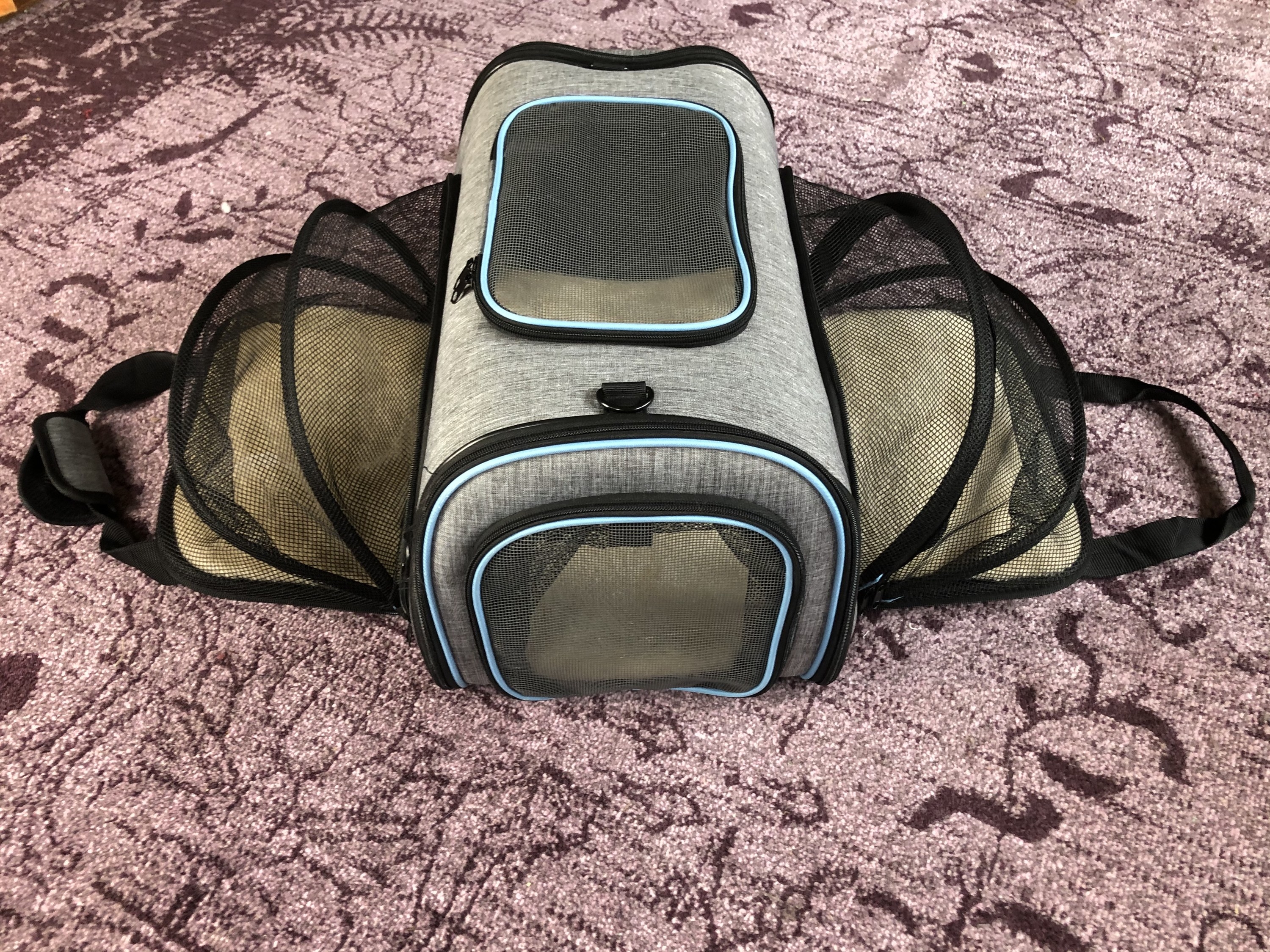 Pidan Traveling Pet Carrier with Habitat Expansion: Take your cat anywhere  safely - The Indiegogo Review