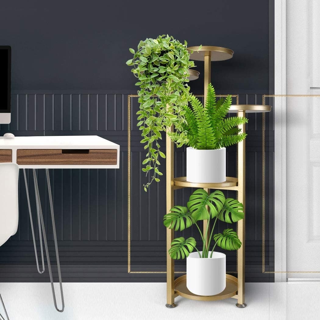 A brass coloured plant stand with five levels holds three pots with different varieties of plants.