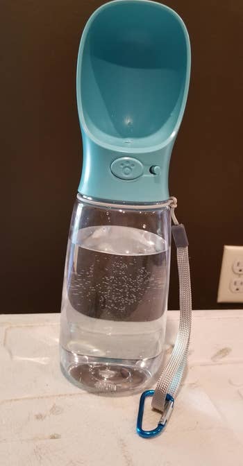 a reviewer photo of the water bottle with a button on the front and a blue spout-bowl hybrid