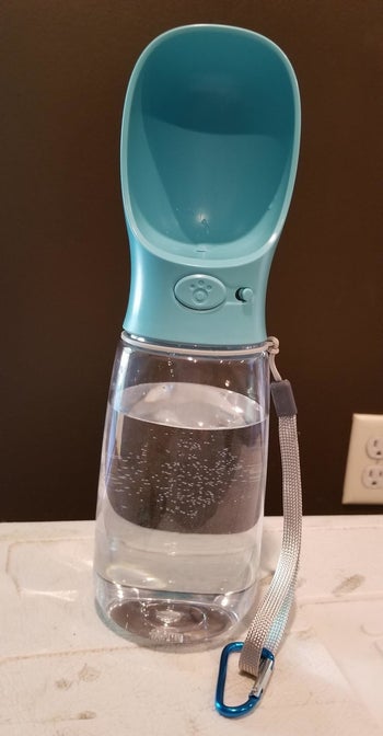 a reviewer photo of the water bottle with a button on the front and a blue spout-bowl hybrid 