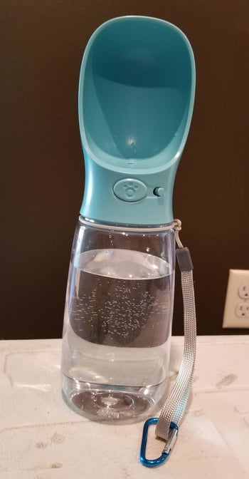 a reviewer photo of the water bottle with a button on the front and a blue spout-bowl hybrid