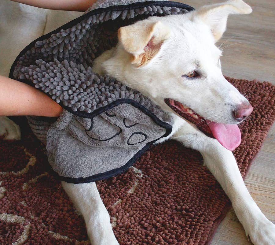 Dog Gone Smart Dirty Dog Shammy Towel, Grey - Feeders Pet Supply