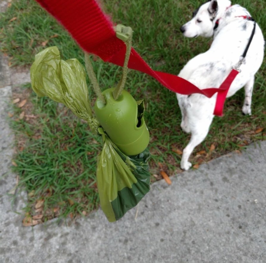 The reviewer's photo of the pack of dog poop bags attached to the leash