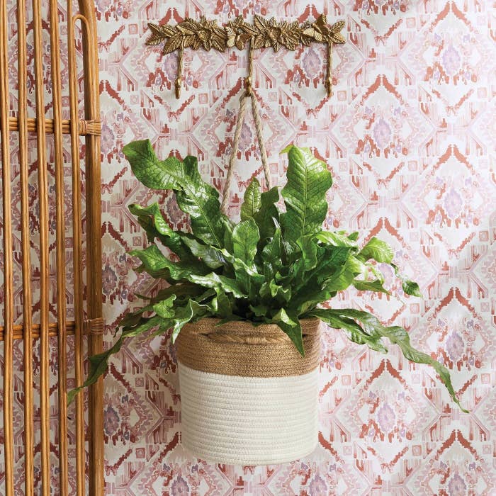 brown and white coiled rope basket hanging from a hook, with a plant inside