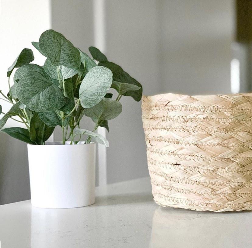 A 10&quot; x 10&quot; artificial eucalyptus arrangement in a white pot on a marble countertop