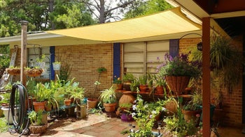 Another reviewer's photo using the canopy over their plants