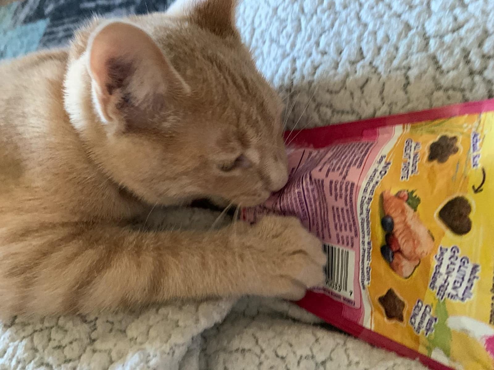 Review photo of cat enjoying the treats