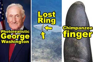 Photorealistic George Washington, a lost wedding ring on a mullet fish, and a chimpanzee finger