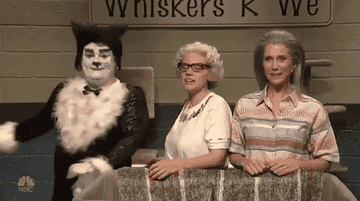Bobby Moynihan dressed in a cat costume and spinning around during an SNL sketch while Kate McKinnon and Kristen Wigg look on