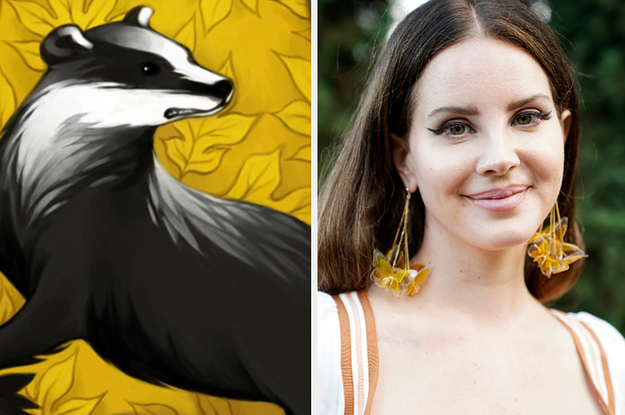A Hufflepuff logo is on the left with Lana Del Rey on the right