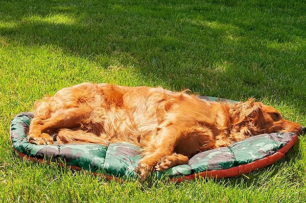A dog on the bed, which is round and made of sleeping bag-like material