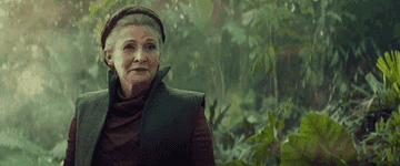 Princess Leia in &quot;The Force Awakens&quot;