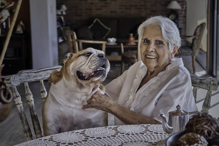 Photo of a grandmother and her dog