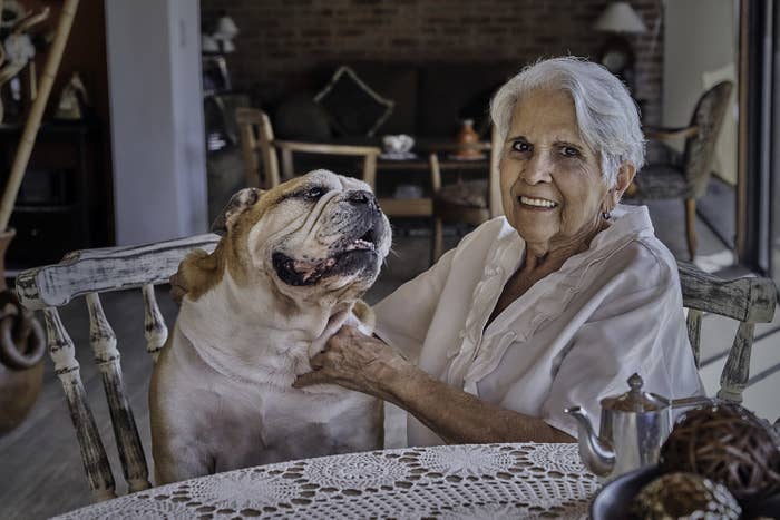 funniest excuses for missing homework Photo of a grandmother and her dog