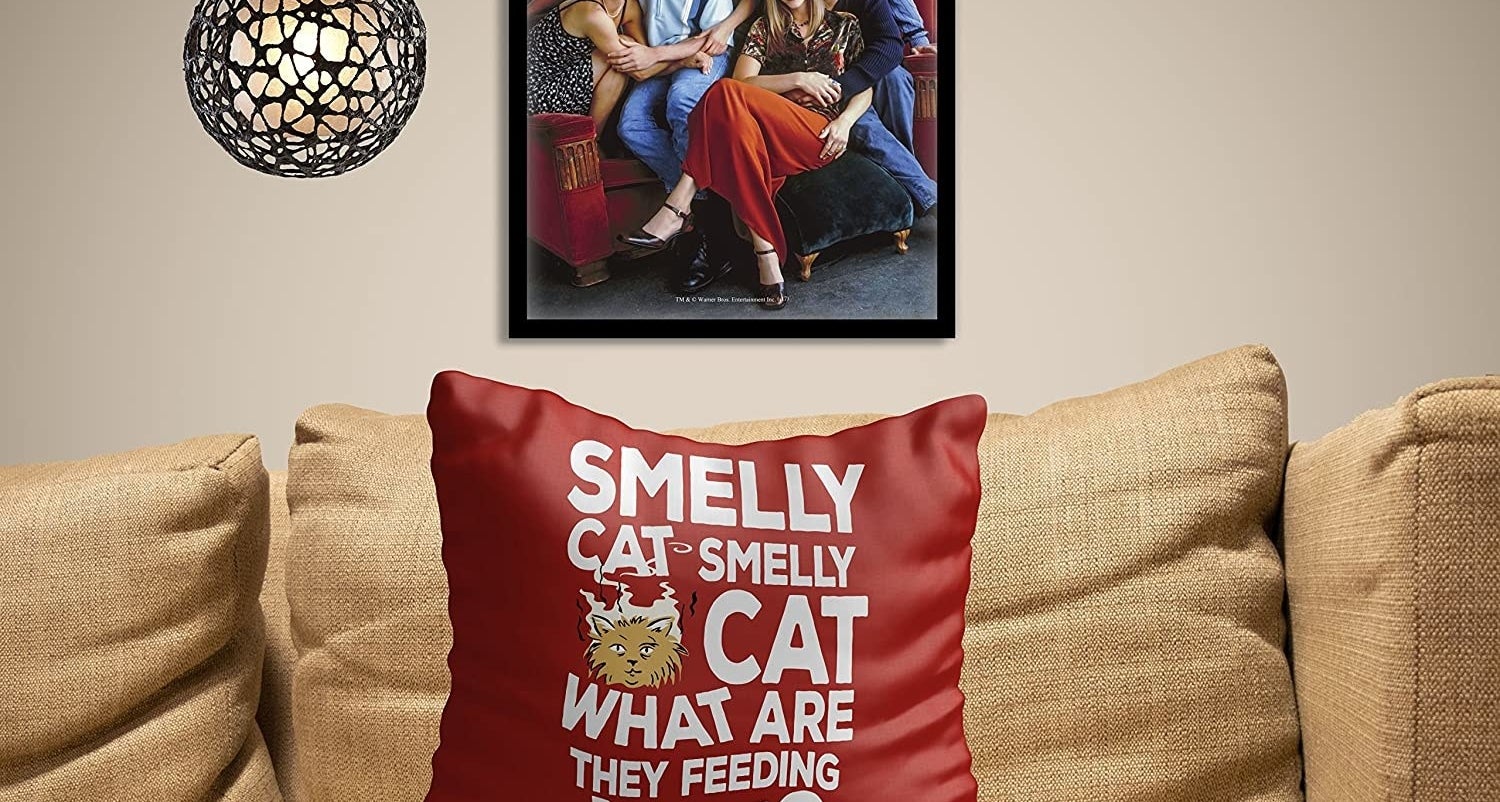 A red cushion with the words &quot;Smelly cat, smelly cat, what are they feeding you?&quot;