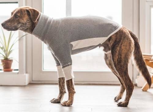 dog wearing the high-neck tee
