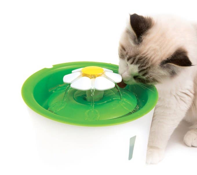 a cat drinking from the flower cat drinking water fountain in white and green