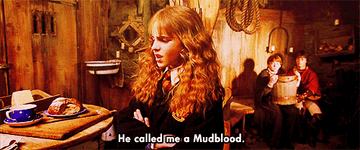Hermione crosses her arms and says, &quot;He called me a Mudblood&quot;