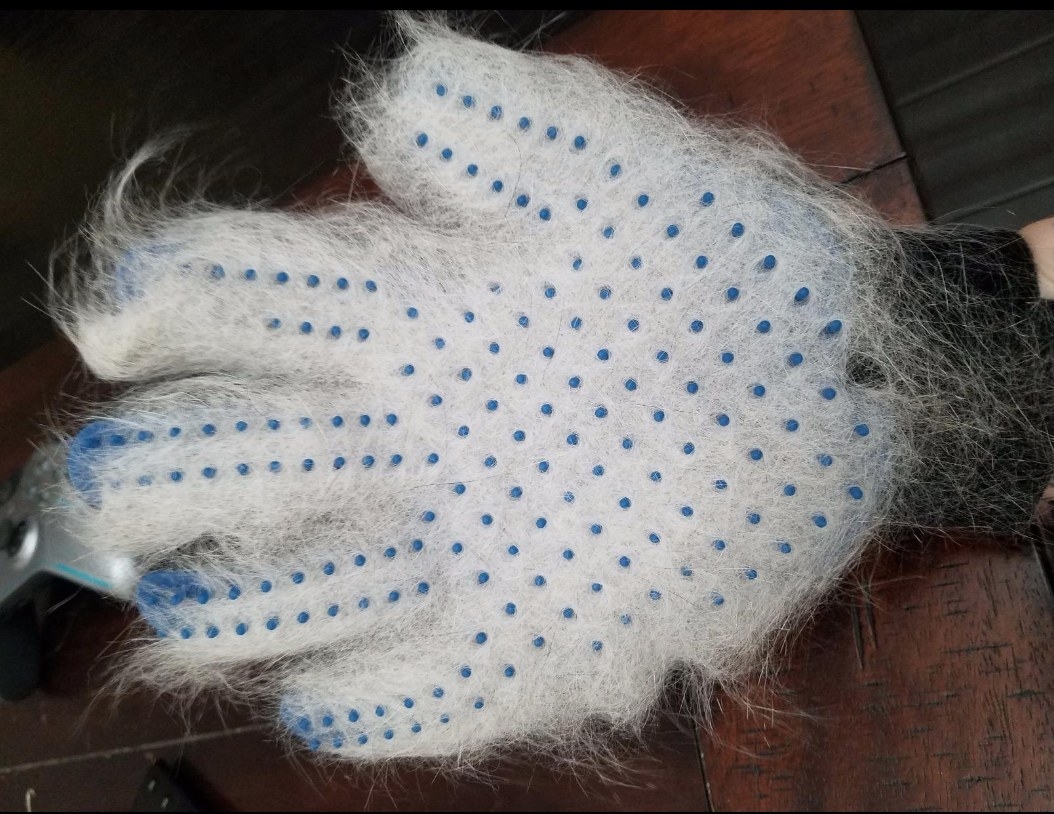 Reviewer&#x27;s picture of white fur on grooming glove