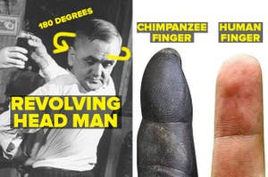 Revolving head man turning his head 180 degrees, and a chimp finger versus a human finger
