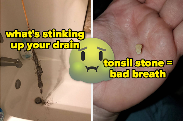 L: Reviewer holding a drain snake with a huge clump of hair on it R: Reviewer holding a tonsil stone in their palm