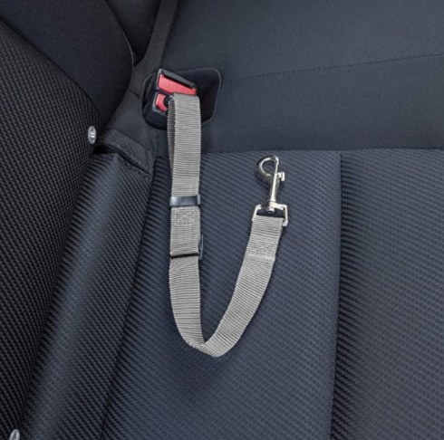 The seat belt clip 