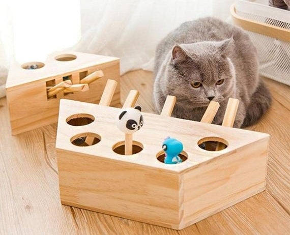 a gray cat sitting in front of the wooden whack-a-mole toy
