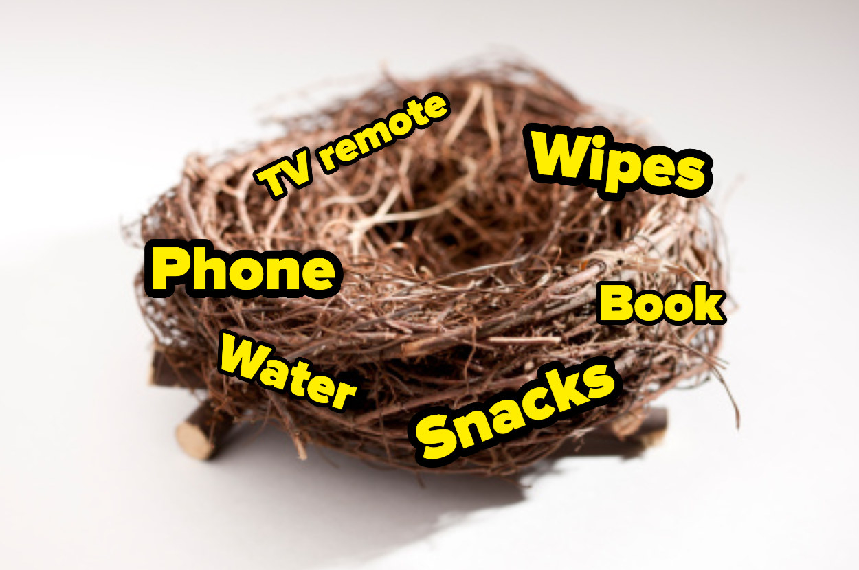 The image shows a bird&#x27;s nest with different text labels over it. They read: phone, water, snacks, book, wipes, TV remote. 