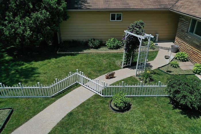 the fence around a backyard