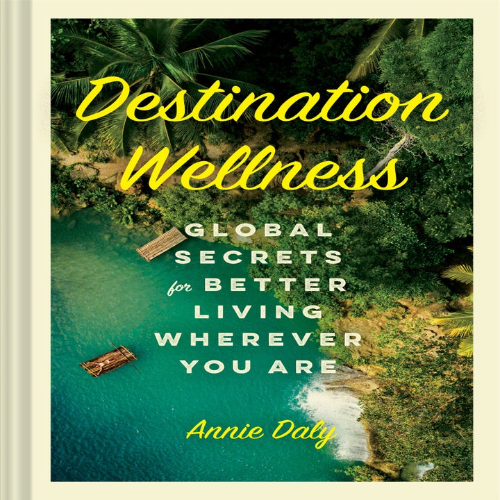 The cover of Destination Wellness