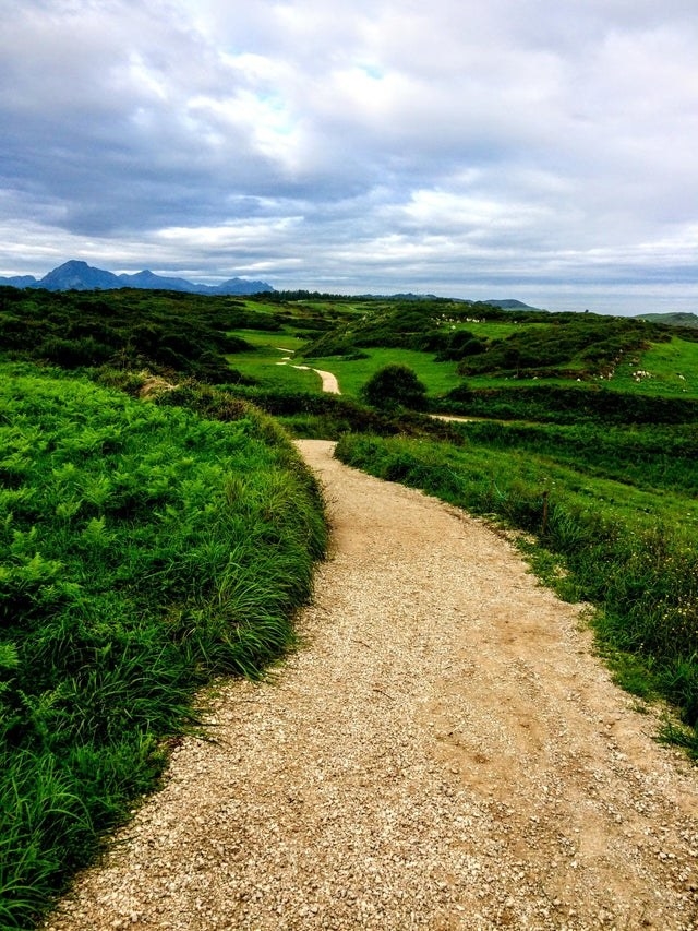 A view of the Camino de Santiago in Spain