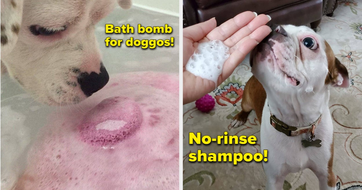 30 Things To Make Bath Time Easier For Pets - BuzzFeed