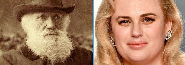 Charles Darwin and Rebel Wilson