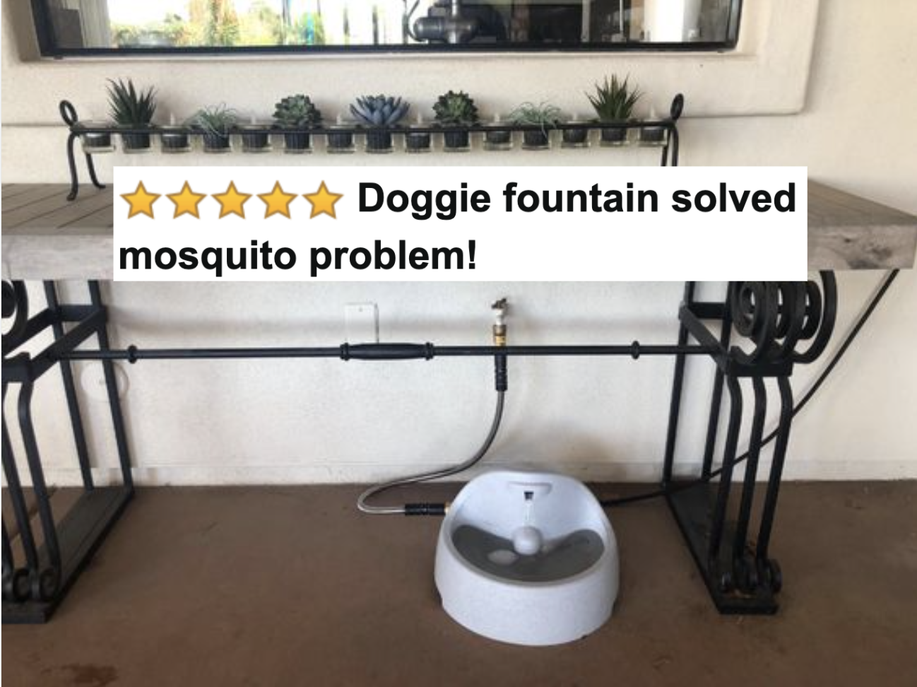 Reviewer&#x27;s dog&#x27;s bowl outside with five-star caption &quot;doggie fountain solved mosquito problem&quot; 