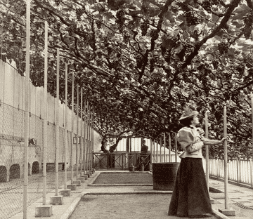 A person in a Victorian dress and hat stands in a garden area